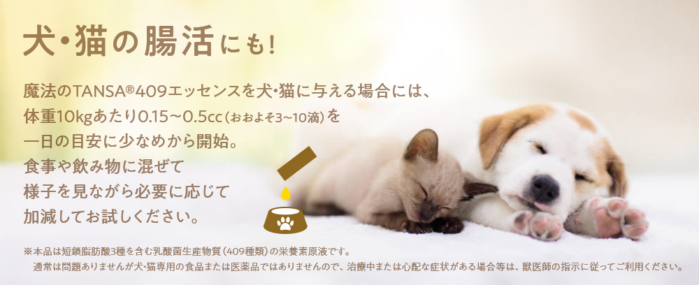 犬・猫の腸活にも魔法のTANSA エッセンス!
